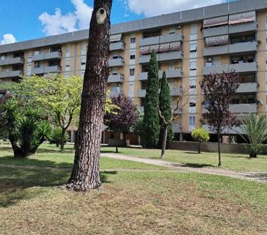 Appartamento in vendita a Roma, Zona Romanina