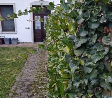 Porzione di casa in affitto a Udine (Udine)