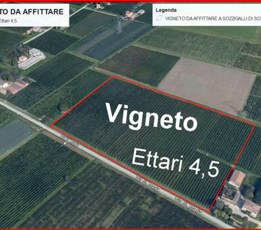 Terreno Agricolo/Coltura in affitto a Soliera (Modena)