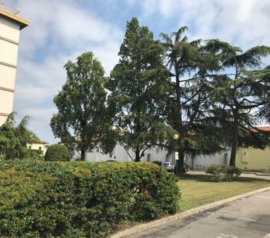 Trilocale in vendita a Venezia, Zona Mestre, Via Andrea Costa 32