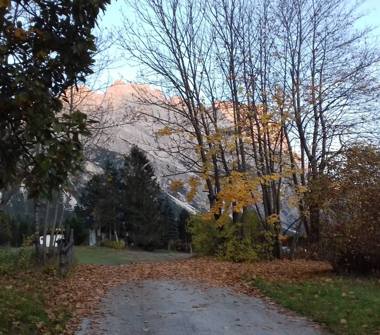 Affitto Appartamento Vacanze a Cortina d'Ampezzo (Belluno)