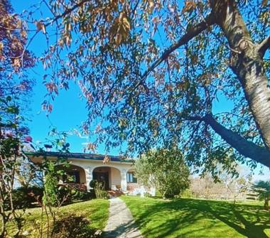 Villa in vendita a Torre di Mosto (Venezia), Strada Provinciale 57 9