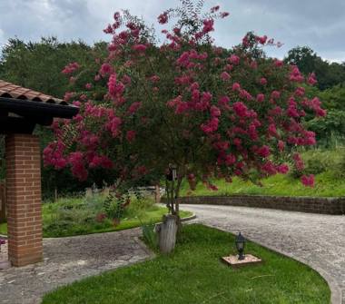 Villa in vendita a Malo (Vicenza)
