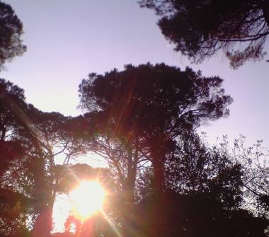 Porzione di casa in vendita a Cesenatico, Frazione Villamarina