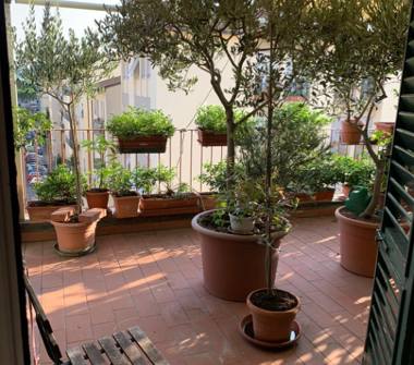 Baita/Chalet/Trullo in vendita a Firenze, Zona Coverciano