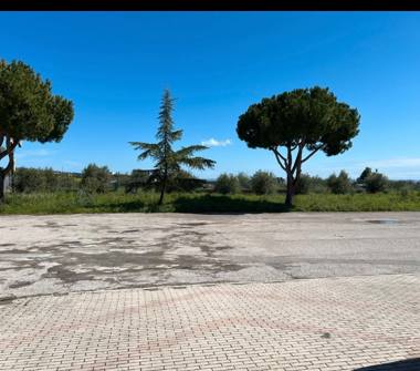 Terreno Agricolo/Coltura in affitto a Corropoli (Teramo), Via delle Industrie 20