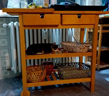 Trilocale in vendita a Codogno (Lodi)