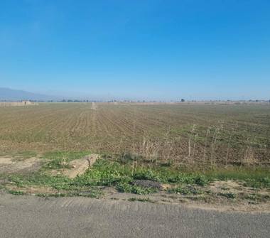 Terreno Agricolo/Coltura in vendita a Lentini (Siracusa)