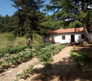 Casa indipendente in vendita a Viggianello (Potenza)