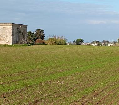 Rustico/Casale in vendita a Torchiarolo (Brindisi), Via della Medusa 65