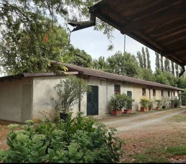 Rustico/Casale in vendita a Carpi (Modena), Via Sott'Argine Motta 39