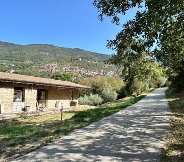 Casa indipendente in vendita a Piglio (Frosinone), Contrada Tagliano 1