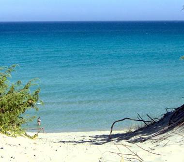 Affitto Casa Vacanze a Matino (Lecce)