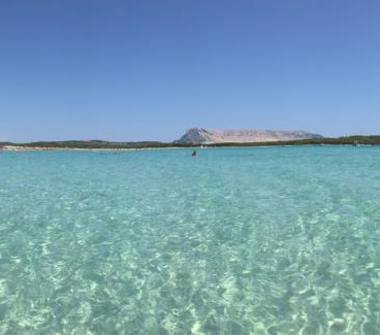 Affitto Appartamento Vacanze a San Teodoro, Frazione Lu Fraili Di Sotto