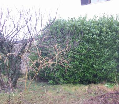 Terreno Edificabile Residenziale in vendita a Gazzada Schianno (Varese), Via Giacomo Matteotti 70