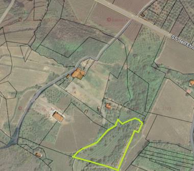 Terreno Agricolo/Coltura in vendita a Castiglione di Sicilia, Frazione Solicchiata, Strada Statale dell'Etna e delle Madonie 50