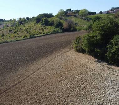 Terreno Agricolo/Coltura in vendita a Camerano (Ancona), Via Inferno 2