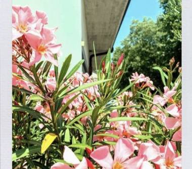 Altro in vendita a Modena, Zona Villaggio Artigiano Modena Nord