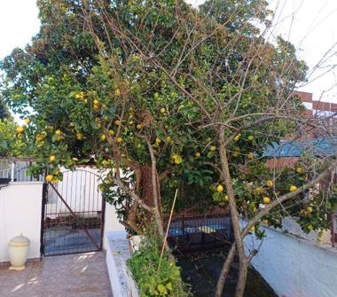 Affitto Villetta a schiera Vacanze a Terracina (Latina), Lido delle Muse 5