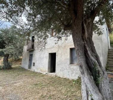 Affitto Rustico/Casale Vacanze a Gioiosa Ionica (Reggio Calabria), Contrada Prisdarello 141