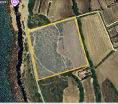 Terreno Agricolo/Coltura in vendita a Calasetta (Sud Sardegna)
