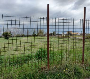 Terreno Agricolo/Coltura in affitto a Giugliano in Campania (Napoli), Via Casacelle 414