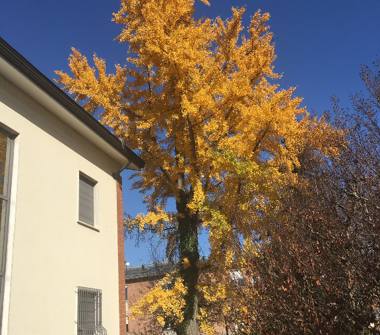 Villa in vendita a Ponte dell'Olio (Piacenza), Viale San Bono 00