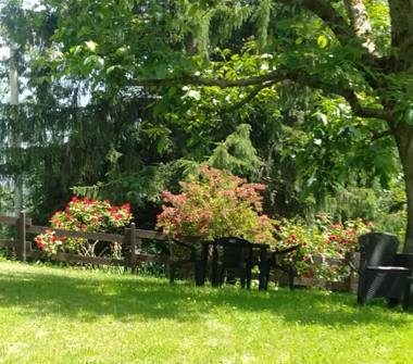 Affitto Casa Vacanze a Issime (Aosta)