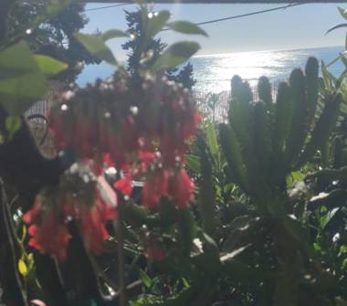 Affitto Casa Vacanze a Ospedaletti (Imperia), Via Aurelia di Ponente 20