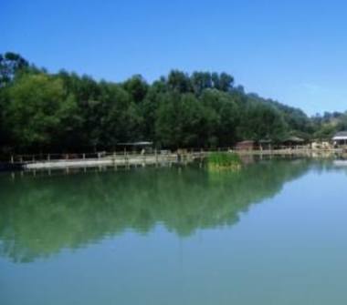 Appartamento in affitto a Tagliacozzo (L'Aquila)