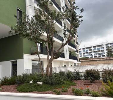 Bilocale in affitto a Bari, Zona San Pasquale, Via Pietro Giannone 55