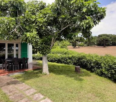 Affitto Villetta a schiera Vacanze a Numana, Frazione Villaggio Taunus