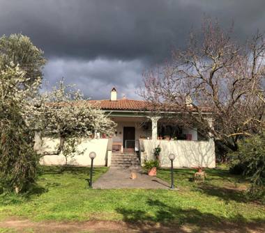 Villa in vendita a Canino (Viterbo)