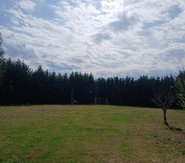 Terreno Agricolo/Coltura in vendita a Empoli, Frazione Tinaia