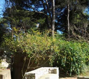 Villa in affitto a Castellaneta, Frazione Castellaneta Marina, Via Zond 125