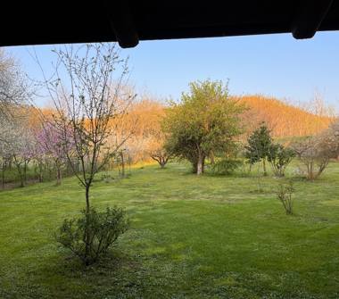 Rustico/Casale in vendita a Brescello, Frazione Sorbolo A Levante