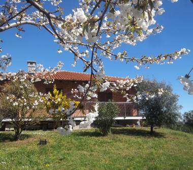 Villa in vendita a Val della Torre (Torino)