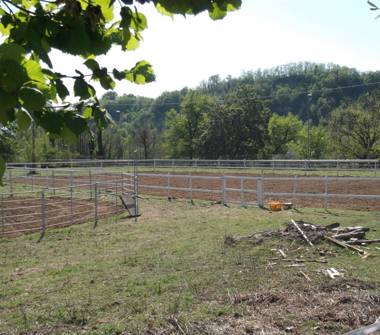 Terreno Agricolo/Coltura in affitto a Reggello (Firenze)