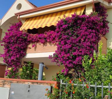 Attico in affitto a Cutro (Crotone), Via delle Violette 32