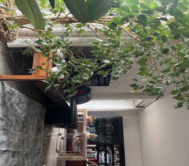 Affitto Altro Vacanze a Milano, Zona San Siro, Via Giovanni Cimabue 5