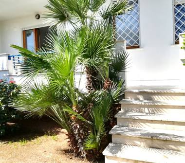 Quadrilocale in affitto a Alghero (Sassari), Viale Europa 110