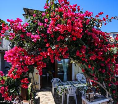 Affitto Villetta a schiera Vacanze a Olbia, Frazione Pittulongu, Via Giuanne Secche 5