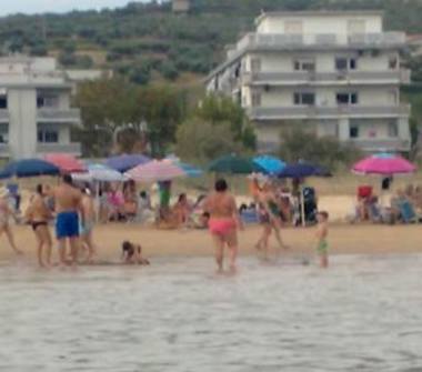 Affitto Appartamento Vacanze a Vasto (Chieti), Strada Statale 16 Adriatica 55