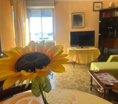 Affitto Appartamento Vacanze a Casarano (Lecce)