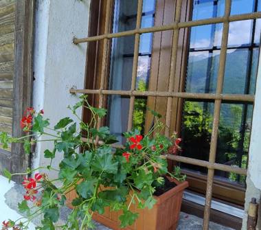 Casa indipendente in affitto a Domodossola (Verbano-Cusio-Ossola), Borgata Pregliasca 1