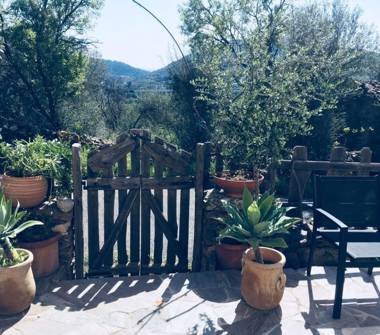Villetta a schiera in affitto a San Teodoro, Frazione Silimini