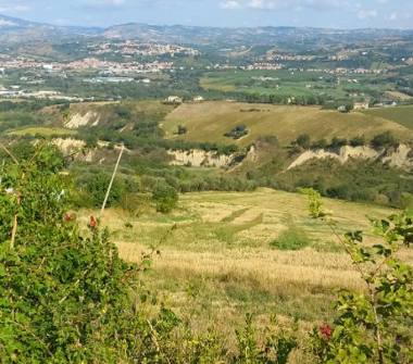 Terreno Agricolo/Coltura in vendita a Ancarano (Teramo)