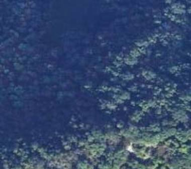 Terreno Agricolo/Coltura in vendita a Lumarzo, Frazione Boasi, Strada Provinciale 77 77
