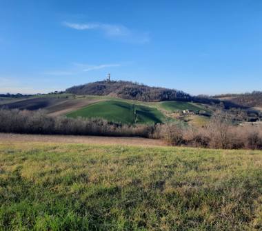 Bilocale in affitto a Salsomaggiore Terme (Parma)