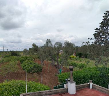 Villa in vendita a Mesagne (Brindisi)
